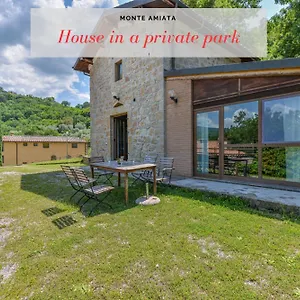 magical-woodland-amiata.it-tuscanyhotel.com/